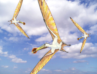Illustration for article titled What would life be like if pterosaurs were alive today?